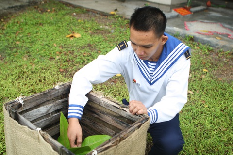 Trường Sa xanh mát mùa xuân - Ảnh 5. Trường Sa xanh mát mùa xuân - Ảnh 5.