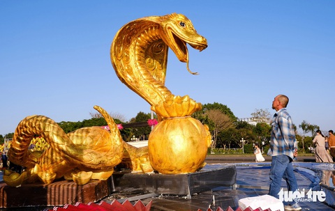 Rắn vàng, rắn bạc 'trình diện' phố núi Pleiku, đẹp mê mẩn - Ảnh 1.