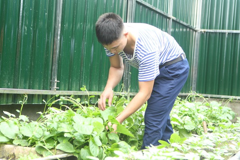 Trường Sa xanh mát mùa xuân - Ảnh 2. Trường Sa xanh mát mùa xuân - Ảnh 4.