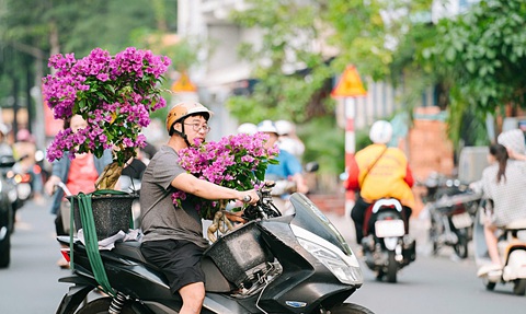 Hoa kiểng về phố - Ảnh 1. Hoa kiểng về phố - Ảnh 1.
