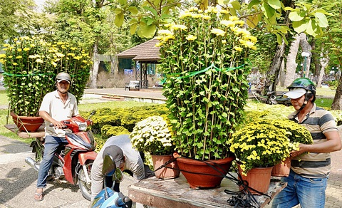 Hoa kiểng về phố - Ảnh 2. Hoa kiểng về phố - Ảnh 2.