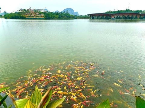 Khu du lịch LAMORI tại Thanh Hóa mở cửa đón khách - Ảnh 2.