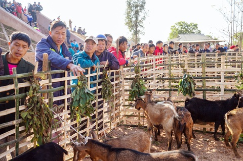 Người bán 0 đồng, người mua có Tết đủ đầy - Ảnh 1. Người bán 0 đồng, người mua có Tết đủ đầy - Ảnh 1.