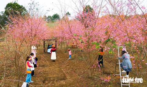 Măng Đen cháy phòng trong kỳ nghỉ Tết Nguyên đán - Ảnh 1.