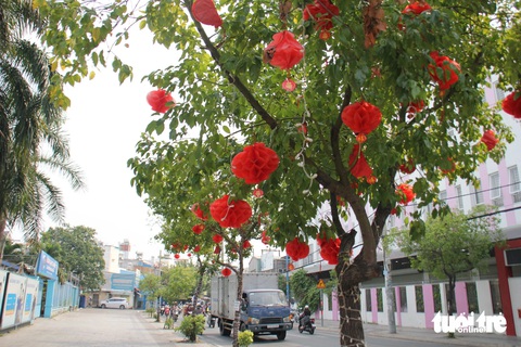 Người dân TP.HCM trang trí đồ decor Tết lộng lẫy sắc xuân trên những cây xanh - Ảnh 1. Lộng lẫy sắc xuân trên những con đường ở TP.HCM dịp Tết - Ảnh 2.