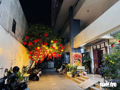 Người dân TP.HCM trang trí đồ decor Tết lộng lẫy sắc xuân trên những cây xanh - Ảnh 2. Lộng lẫy sắc xuân trên những con đường ở TP.HCM dịp Tết - Ảnh 3.