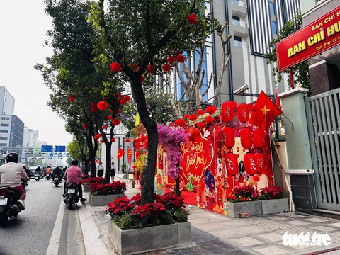 Người dân TP.HCM trang trí đồ decor Tết lộng lẫy sắc xuân trên những cây xanh - Ảnh 3. Lộng lẫy sắc xuân trên những con đường ở TP.HCM dịp Tết - Ảnh 4.