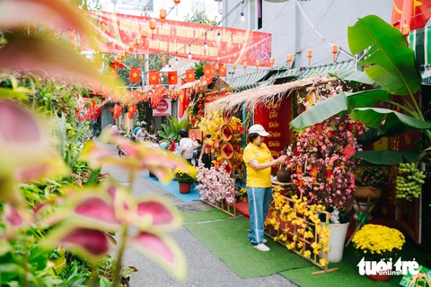 Người dân TP.HCM trang trí đồ decor Tết lộng lẫy sắc xuân trên những cây xanh - Ảnh 4. Lộng lẫy sắc xuân trên những con đường ở TP.HCM dịp Tết - Ảnh 5.