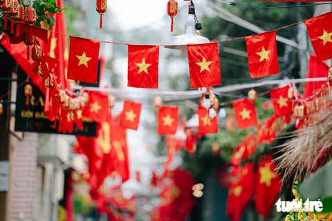 Người dân TP.HCM trang trí đồ decor Tết lộng lẫy sắc xuân trên những cây xanh - Ảnh 5. Lộng lẫy sắc xuân trên những con đường ở TP.HCM dịp Tết - Ảnh 6.