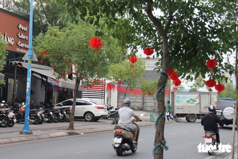 Người dân TP.HCM trang trí đồ decor Tết lộng lẫy sắc xuân trên những cây xanh - Ảnh 5. Lộng lẫy sắc xuân trên những con đường ở TP.HCM dịp Tết - Ảnh 7.