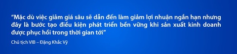 VIB: Lợi nhuận 2024 hơn 9.000 tỉ đồng, tăng trưởng tín dụng 22% - Ảnh 3.