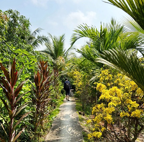 Một khoảnh hoa, một mái nhà, một miền Tết - Ảnh 1. Một khoảnh hoa, một mái nhà, một miền Tết - Ảnh 1.