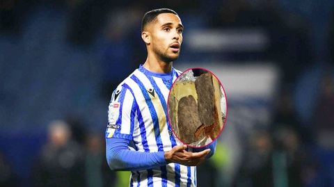 CLB Sheffield Wednesday bị chỉ trích vì phục vụ thức ăn quá tệ - Ảnh 1.