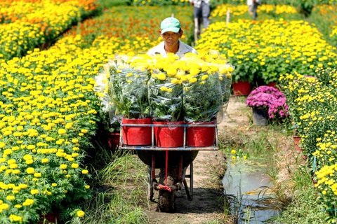 Thôi, Tết rồi! - Ảnh 1. Thôi, Tết rồi! - Ảnh 1.