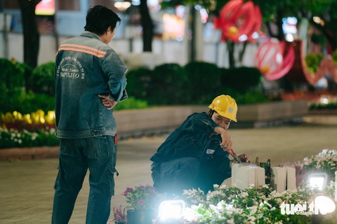 Các 'bé Tỵ' lên đèn lung linh sẵn sàng đón người dân tham quan tại đường hoa Nguyễn Huệ - Ảnh 10. Đường hoa Nguyễn Huệ, TP.HCM đã sẵn sàng cho giờ khai mạc - Ảnh 12.