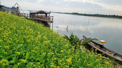 Du xuân, ghé Quảng Ngãi nhớ 'Đi về nơi có gió' - Ảnh 2.