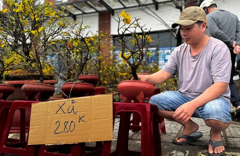 27 tháng Chạp đã 'xả hàng', chợ hoa Tết Quảng Ngãi vẫn vắng người mua - Ảnh 1.