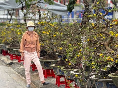 27 tháng Chạp đã 'xả hàng', chợ hoa Tết Quảng Ngãi vẫn vắng người mua - Ảnh 2.