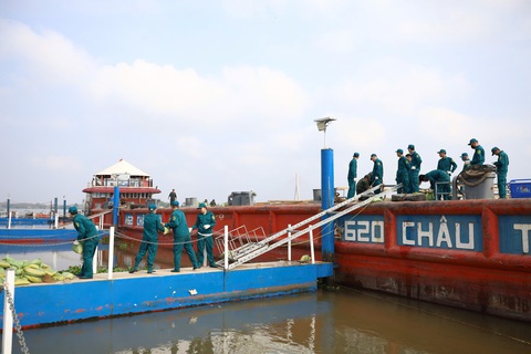 Cần Thơ: Doanh nghiệp hỗ trợ sà lan để bắn pháo hoa sông - Ảnh 1.