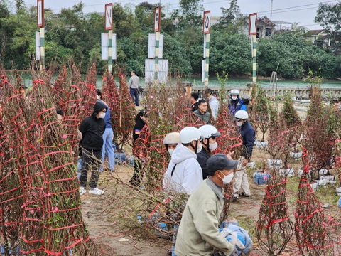 Chiều cuối năm, nhà đủ hoa rồi vẫn ra chợ mua thêm vì thương người bán hoa Tết đang ế - Ảnh 2.