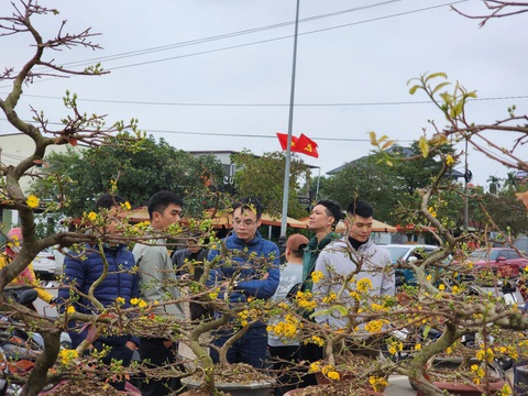 Chiều cuối năm, nhà đủ hoa rồi vẫn ra chợ mua thêm vì thương người bán hoa Tết đang ế - Ảnh 6.