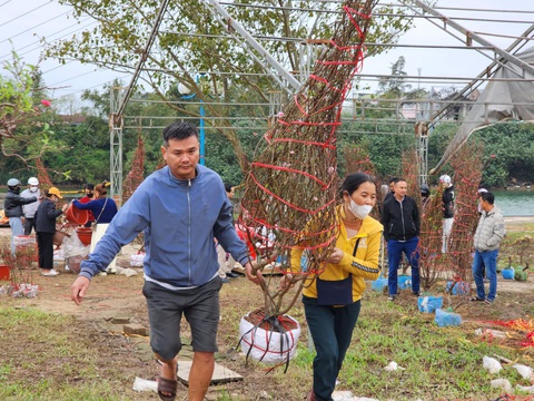 Chiều cuối năm, nhà đủ hoa rồi vẫn ra chợ mua thêm vì thương người bán hoa Tết đang ế - Ảnh 3.