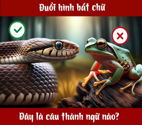 Câu thành ngữ gì liên quan đến rắn và ếch? - Ảnh 1.