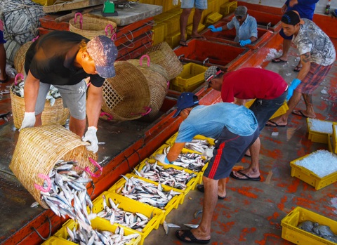 Đánh bắt xa bờ, ghe tàu neo lại gần nhau để cùng có cảm giác ăn Tết trên biển - Ảnh 6.