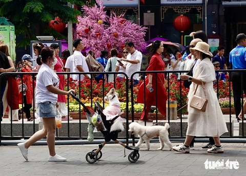Khách du xuân, quán xá mở cửa xuyên Tết đắt khách - Ảnh 3.