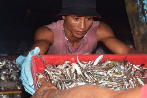 Đánh bắt xa bờ, ghe tàu neo lại gần nhau để cùng có cảm giác ăn Tết trên biển - Ảnh 7.