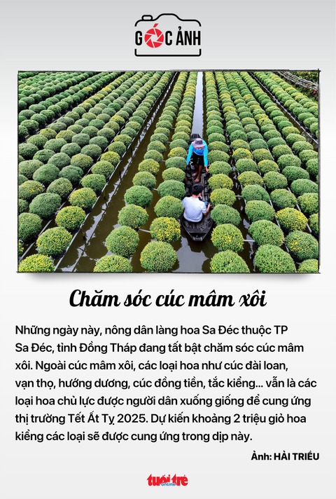 Tin tức sáng 6-1 - Ảnh 5.