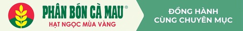 PVCFC tháo gỡ khó khăn cùng các nhà phân phối - Ảnh 5.