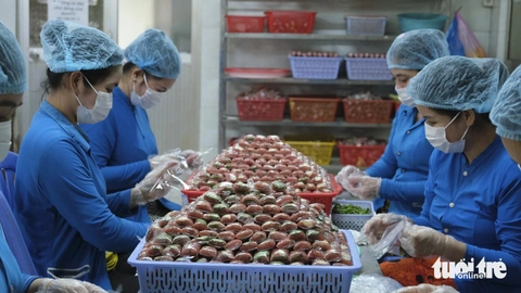 Bí quyết làm nem Lai Vung đặc sản miền Tây ít người biết - Ảnh 1.
