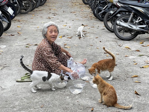 Thảo cầm viên đã 'căng': kiện người vu khống 'bắt mèo hoang cho cá sấu ăn' - Ảnh 2.