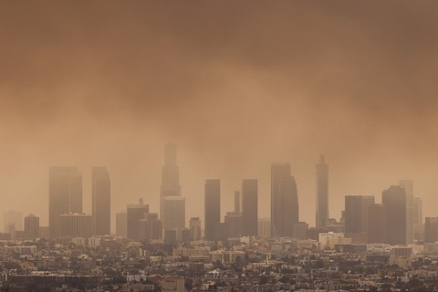 Bão lửa tàn phá thành phố Los Angeles ở tiểu bang đông người Việt - Ảnh 4. Cháy rừng tàn phá thành phố Los Angeles ở tiểu bang đông người Việt - Ảnh 3.