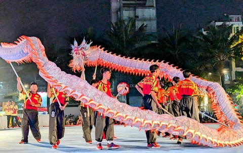 Rộn ràng không khí Xuân Ất Tỵ 2025 với lễ khai mạc giải lân sư rồng quốc tế Quận 5 - Ảnh 6. Giải lân sư rồng quốc tế quận 5 khai mạc, nhiều màn biểu diễn đầy kỹ thuật và sáng tạo - Ảnh 5.