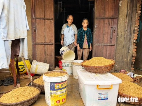 xã Hòa Thịnh - Ảnh 2.