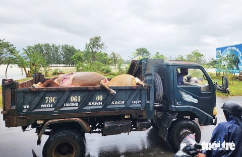 xã Hòa Thịnh - Ảnh 14.