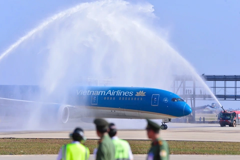 sân bay Long Thành - Ảnh 3.