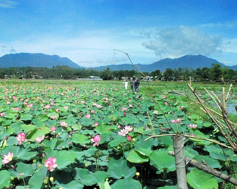Ngày xuân về Hoà Sơn nghe kể chuyện ốc bươu Bàu Nghè, nước chè Phú Thượng - Ảnh 2. Ngày xuân về Hoà Sơn nghe kể chuyện ốc bươu Bàu Nghè, nước chè Phú Thượng - Ảnh 2.