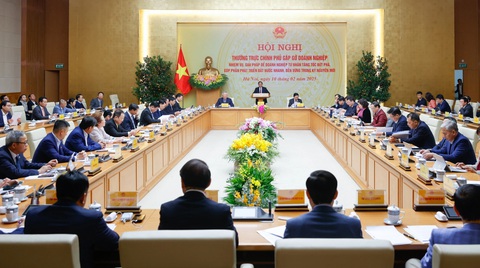 Thủ tướng nhắc đến Thaco, Hòa Phát để mời gọi doanh nghiệp đóng góp cho đất nước - Ảnh 1.