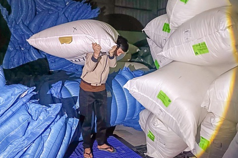 Tóm gọn nhóm đạo chích mặc áo chống nắng trèo tường trộm lông vũ - Ảnh 1. Nhóm đạo chích chuyên trèo tường trộm lông vũ tiền tỉ - Ảnh 1.