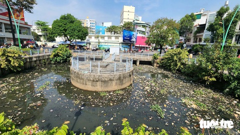 Sau mưa lớn, rác và cá chết bốc mùi hôi trên kênh Nhiêu Lộc - Thị Nghè - Ảnh 3.