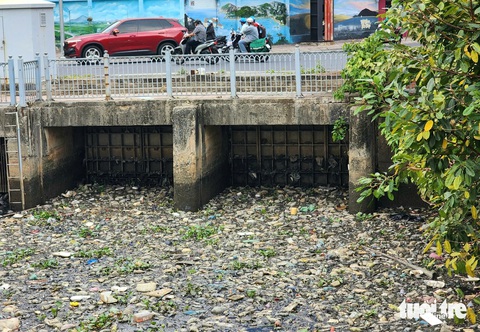 Sau mưa lớn, rác và cá chết bốc mùi hôi trên kênh Nhiêu Lộc - Thị Nghè - Ảnh 5.