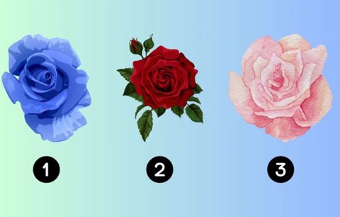 Quiz: Ai sẽ là người bạn đời lý tưởng của bạn? - Ảnh 1.