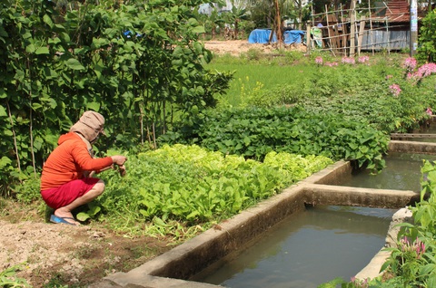 Về Bình Châu thưởng thức món ruốc um - Ảnh 4. Bình Châu có món ruốc um - Ảnh 4.