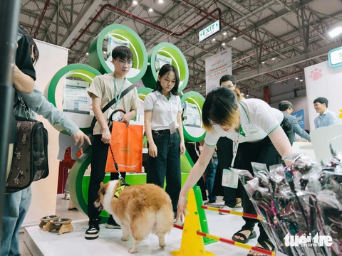 Thi làm đẹp cho thú cưng - Ảnh 14. Xem 100 người cắt tỉa lông tạo mẫu cho chó mèo ở Lễ hội quốc tế thú cưng Việt Nam - Ảnh 10.