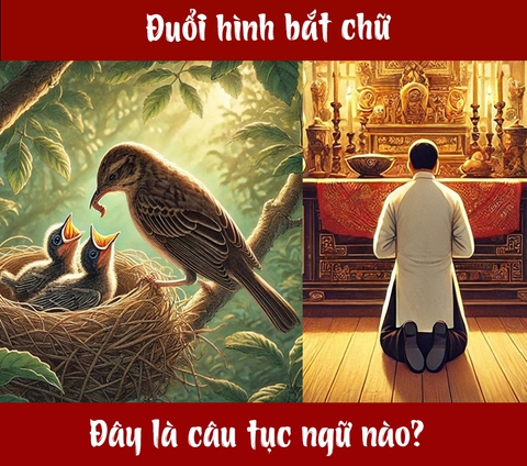Câu tục ngữ, thành ngữ 'khó nhằn' này là gì? (P98) - Ảnh 1.