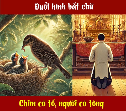 Câu tục ngữ, thành ngữ 'khó nhằn' này là gì? (P98) - Ảnh 1.