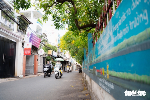 Hoa huỳnh liên nở rộp sắc vàng dọc tuyến đường ray xe lửa tại TP.HCM - Ảnh 5. Ngắm hoa huỳnh liên nở rợp sắc vàng dọc các đường ray xe lửa tại TP.HCM - Ảnh 5.